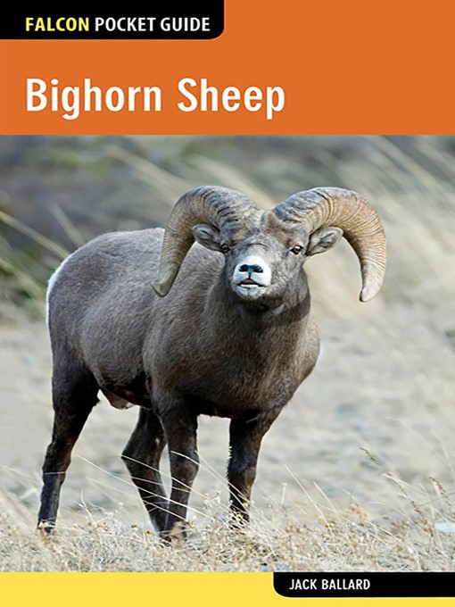 Title details for Bighorn Sheep by Jack Ballard - Available